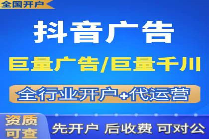 SEM投放策略优化案例分析